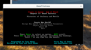 Dwart Fortress